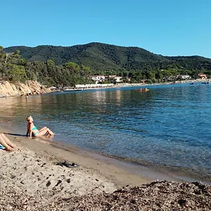 La Zanzara Marciana (Isola d'Elba)