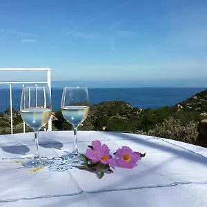 Nature Il Colle Marciana (Isola d'Elba)